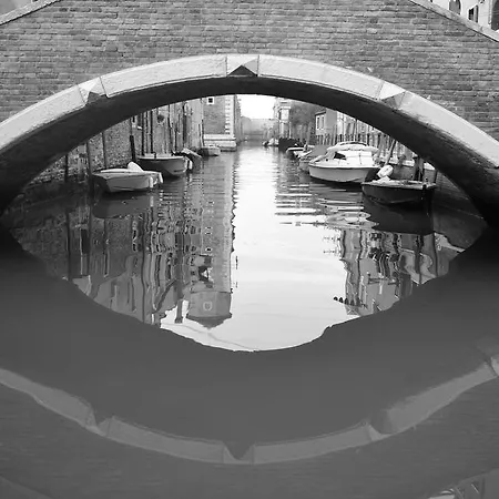 Biennale 252 Appartement