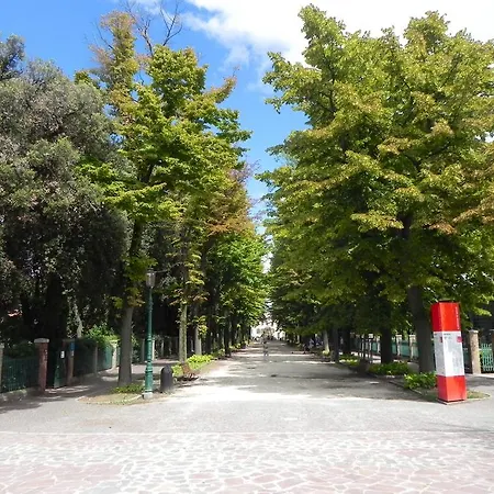 双年展252公寓 公寓 *